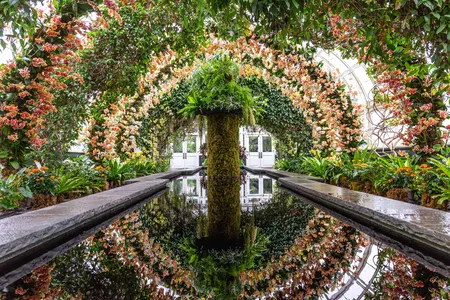Arches made of yellow orchids as seen at the New York Botanical Garden.