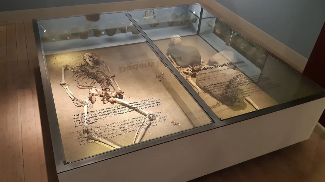 Skeletons on display at Roskilde Museum