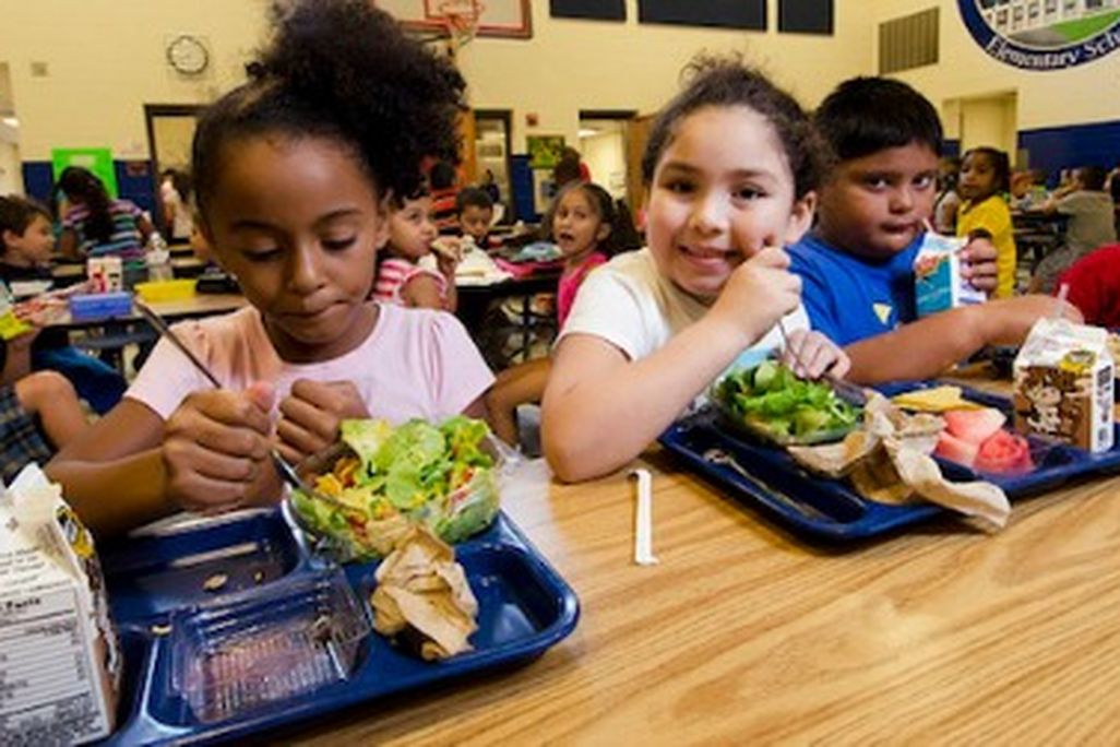 New school lunch programs are one of the ways people are trying to fight childhood obesity.