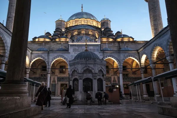 Istanbul's Grand Architectural Embrace thumbnail
