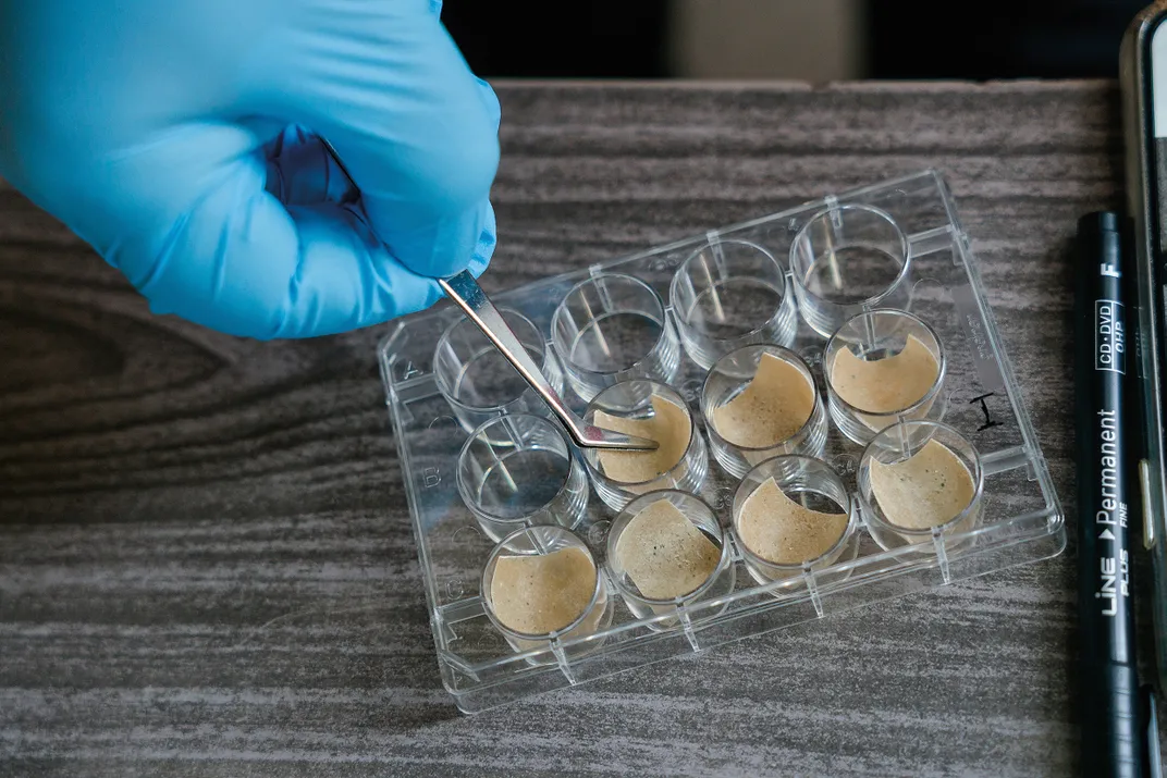 a plastic glove hand places a sample in a tray