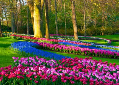 holland-belgium-spring-river-cruise-tulip-time
