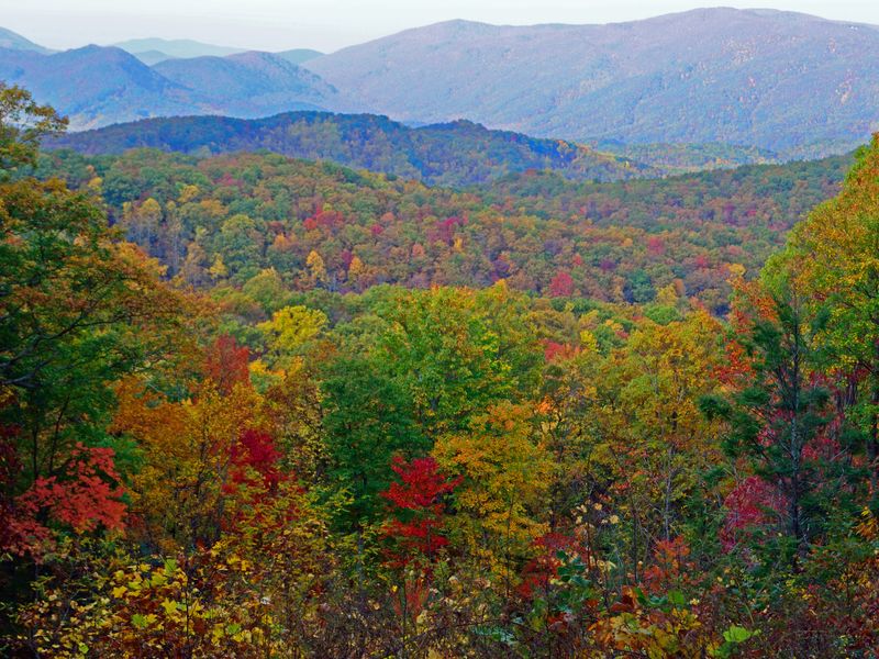 Stunning Fall Color in Great Smoky Mountains National Park
