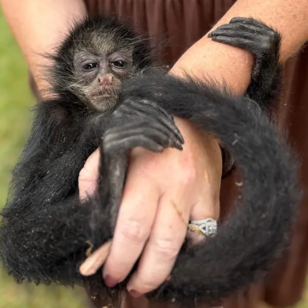 Wrapped in Trust thumbnail