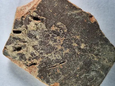 This Ancient Paw Print on a Pottery Fragment in Jerusalem Is the Oldest Known Evidence of a Cat Kneading image