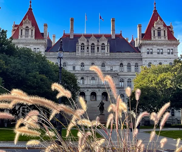 Morning Grasses, Albany Government Plaza thumbnail