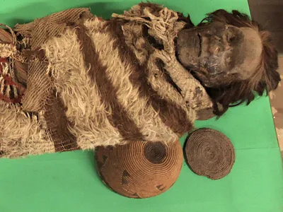 A roughly 2000-year-old mummified man of the Ansilta culture, from the Andes of San Juan, Argentina, had lice eggs and cement in his hair which preserved his own DNA
