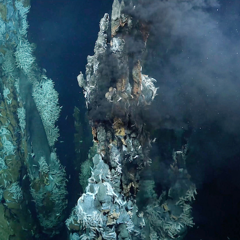 Hydrothermal vents on the ocean floor hotsell