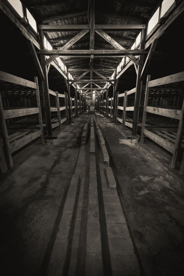 Inside the Barracks at Auschwitz-Birkenau thumbnail
