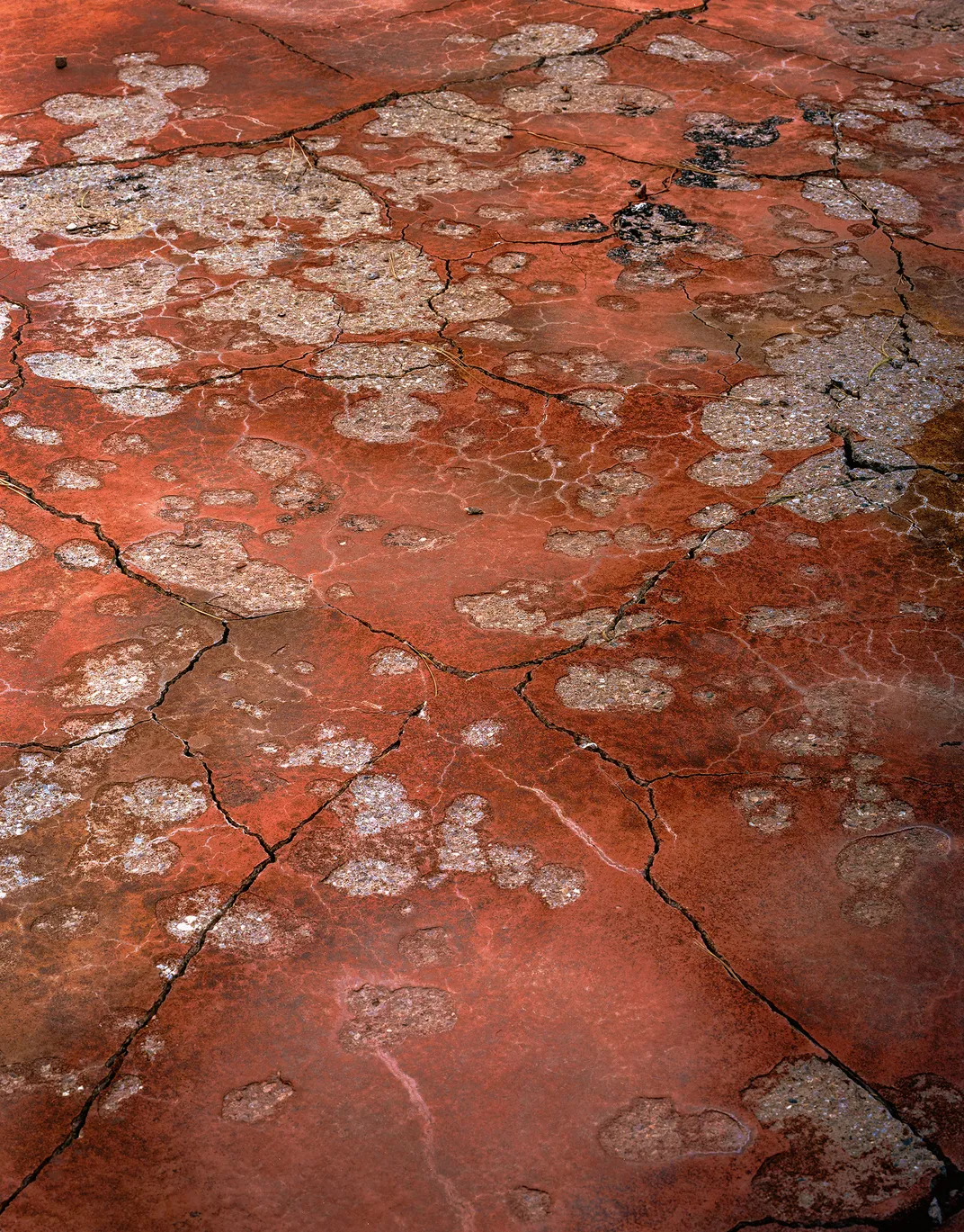 V-SITE - hubbellite floor