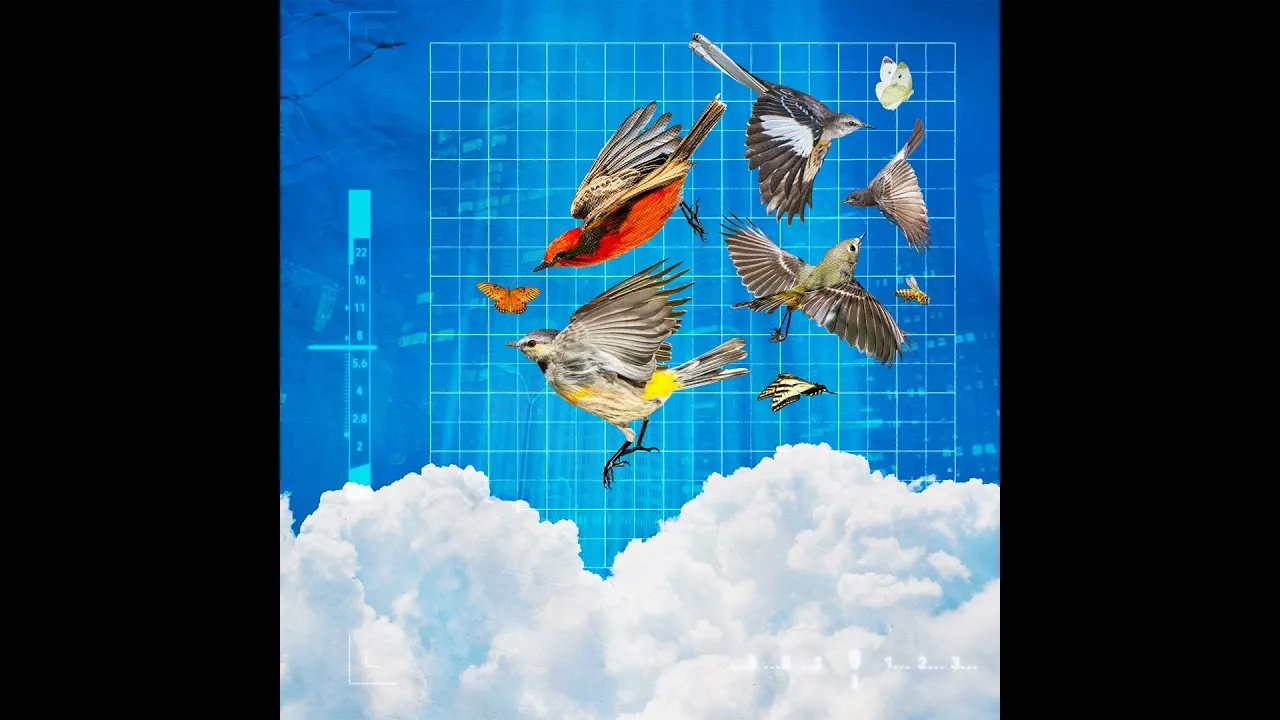 Preview thumbnail for Birds, Bats and Bugs: The Teeming World Above Our Heads