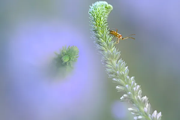 Be at a high point thumbnail