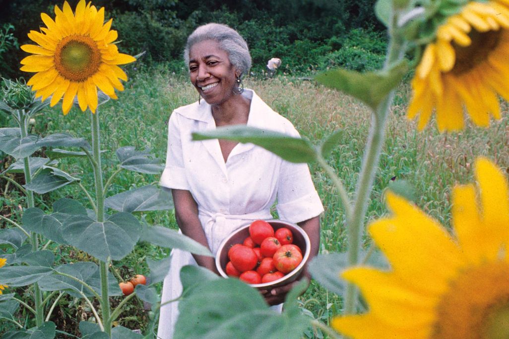 A Black women in a white outfit surrounded by tall yellow sunflowers holds a basket of tomatoes