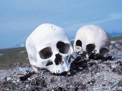 Skulls on a Beach