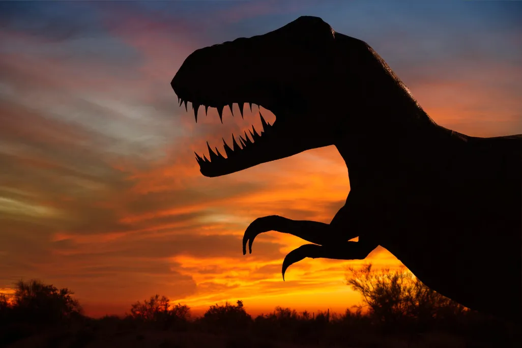 T. rex sillouhette
