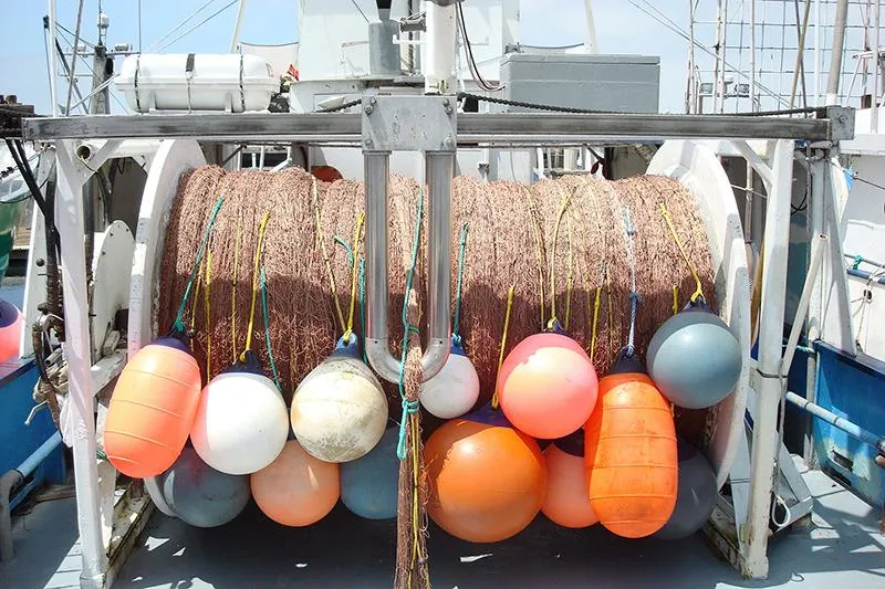 How Scientists Are Using Real-Time Data to Help Fishermen Avoid Bycatch