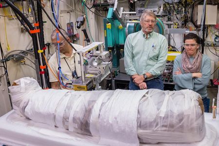 A new, noninvasive technique allows researchers to study mummies without damaging them.