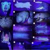 More Mammals Can Glow in the Dark Than Previously Thought icon