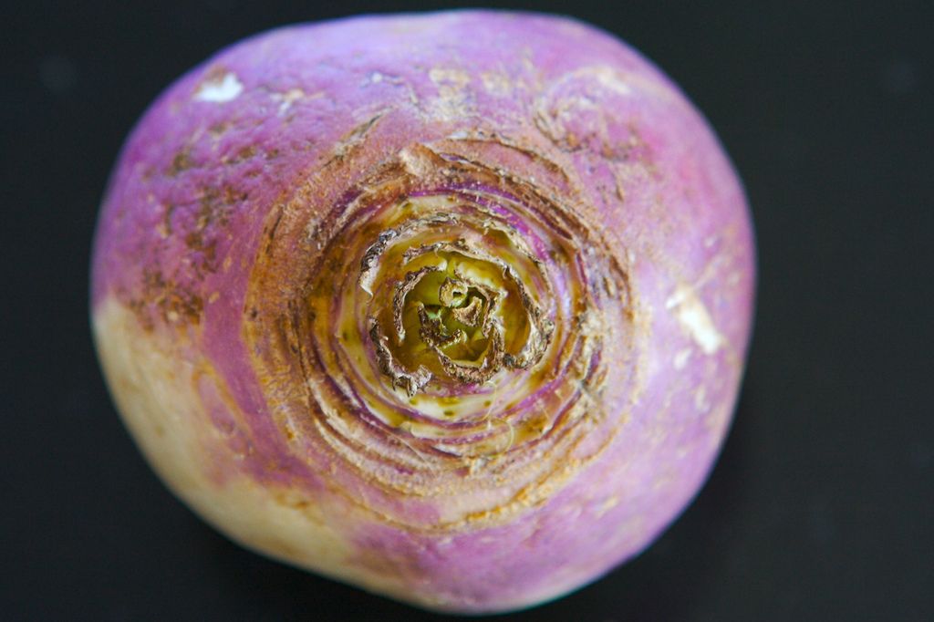 Turnip
