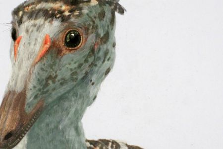 Small coelurosaurs like this Troodon appear to have maintained stable levels of disparity during the last 12 million years of the Cretaceous.