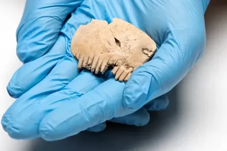 The comb measures roughly two inches and has nearly a dozen teeth.