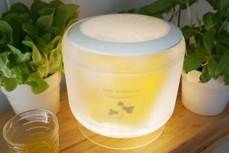 The home bioreactor in its intended environment. It also provides light for herbs.