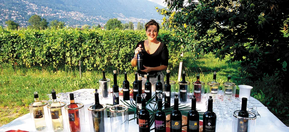  Wine tasting in Italy 