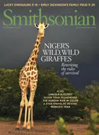 Cover for November 2008