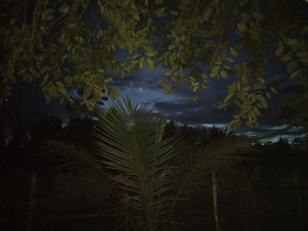 The moon rising after sunset in Borneo thumbnail