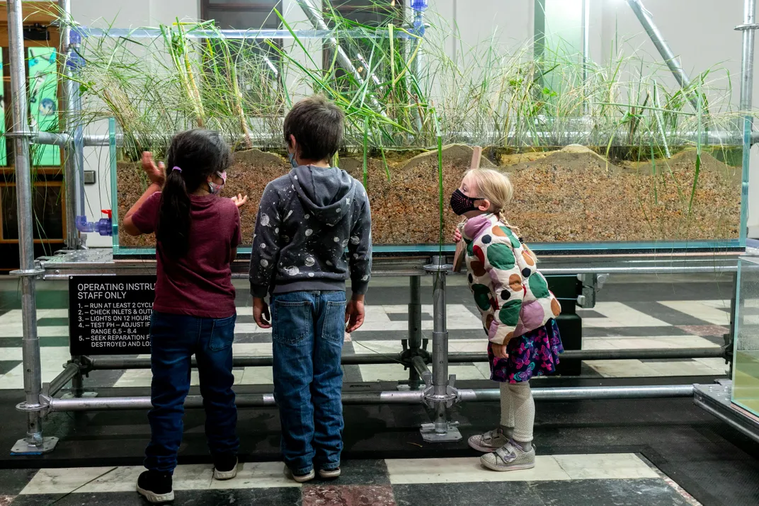 Three masked children examine a "natural washing machine" made of wetland plants, which filter toxins and clean water much like a washing machine cleans clothes.