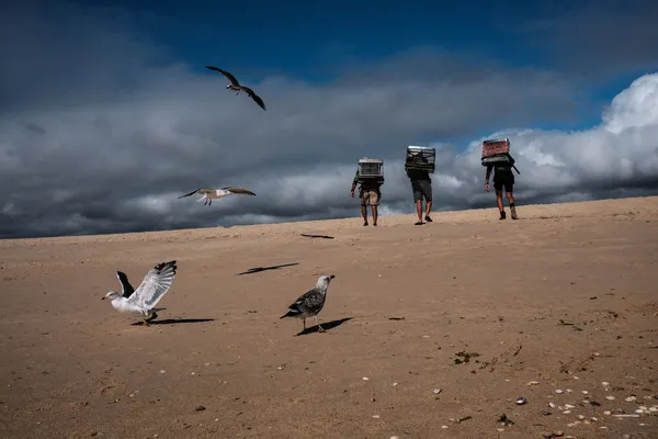 Altura POrtugal thumbnail