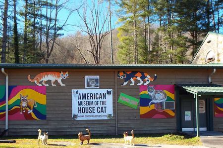 You'll have a tail to tell after visiting this North Carolina museum. 