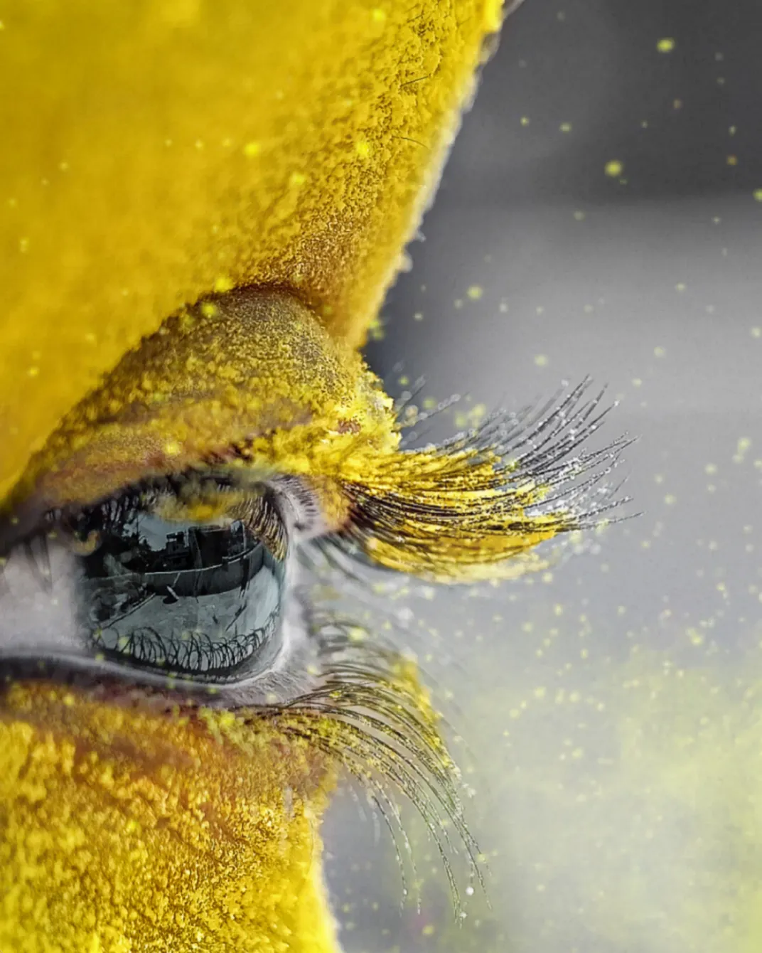 a close up photo a boys eye covered in yellow pigment