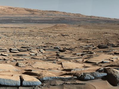 Gale Crater is dry today, but once was filled with water. Could fossilized microbes be preserved in the ancient lake sediments?