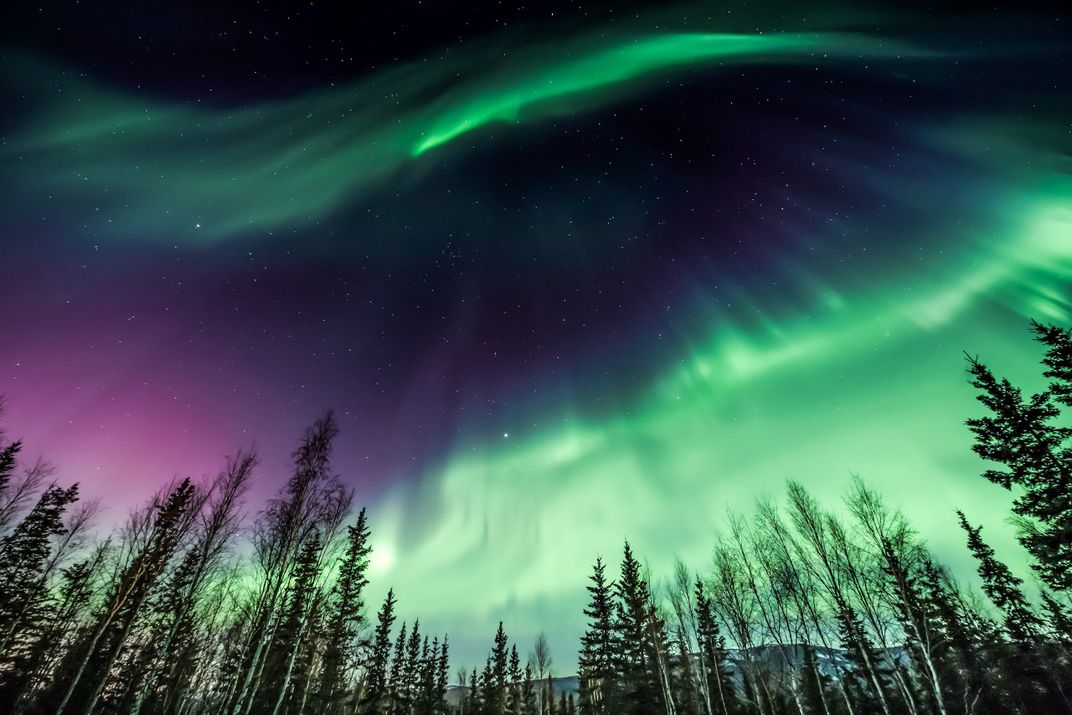 The northern lights in Fairbanks