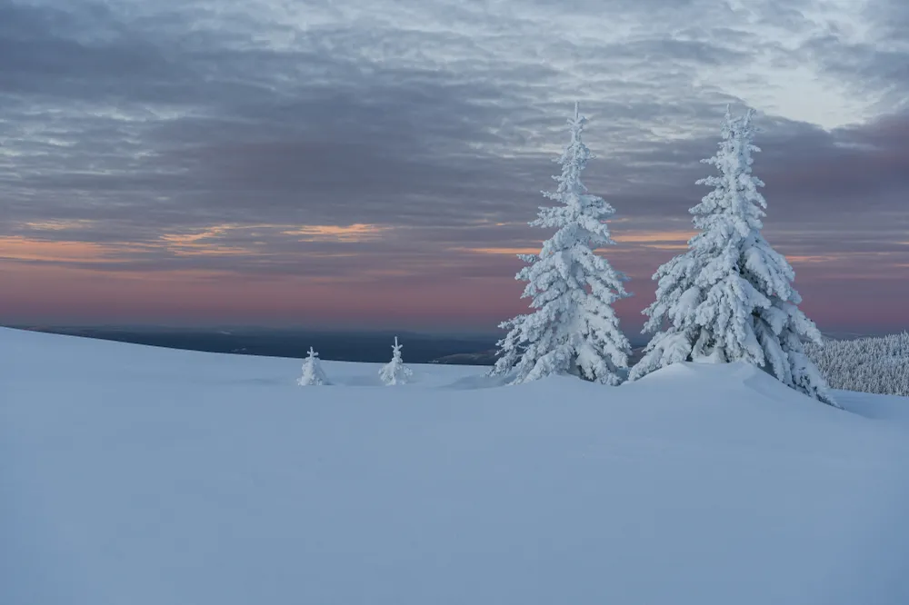 Christmas trees in a snowy robe on the mountainside in Far Taganay, Taganay National Park.