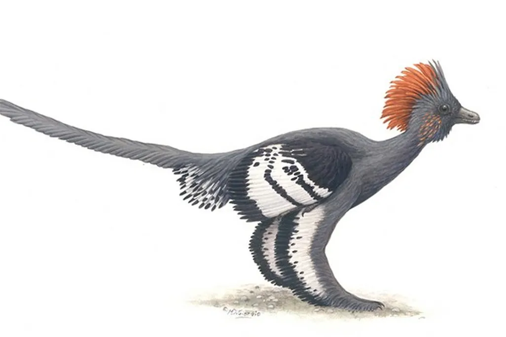 20110520083255anchiornis-colors.jpg