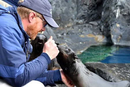 Join Connecticut’s Mystic Aquarium every morning at 11 a.m.
