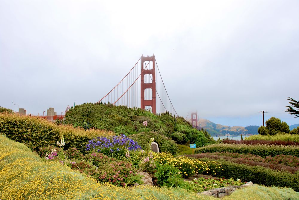 Rising above the clouds.