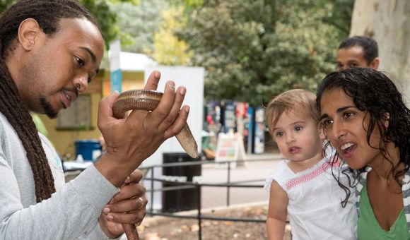 At Smithsonian Associates' annual Breakfast at the Zoo on Sept. 14, animal keepers will give informal talks offering participants a chance to see selected animals up close. (Norwood Photography)
