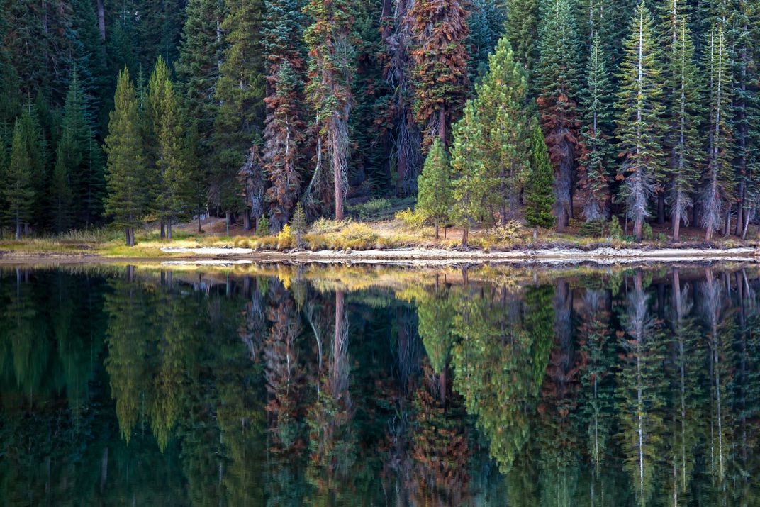 Sequoia Waters | Smithsonian Photo Contest | Smithsonian Magazine