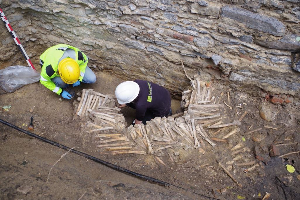 Bone walls
