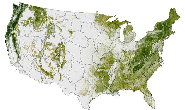 2120111-forestmap.jpg