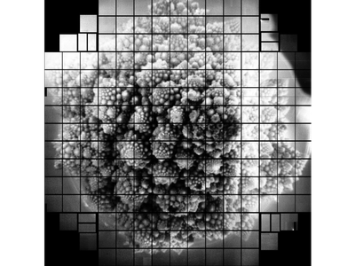 A lower resolution copy of a 3,200 megapixel image of Romanesco broccoli. The photo was taken by a camera being built to help the Vera Rubin Observatory's telescope study space.
