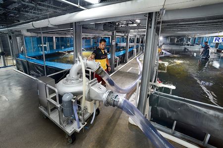 In Singapore, a city-state notoriously tight on space, Apollo Aquaculture Group is building an eight-story indoor aquaculture facility.
