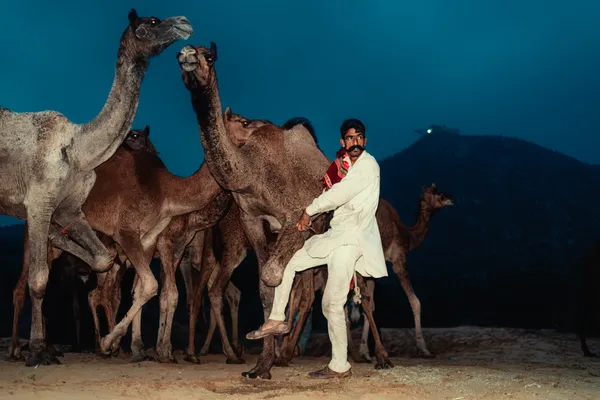 Pushkar Camel Fair thumbnail