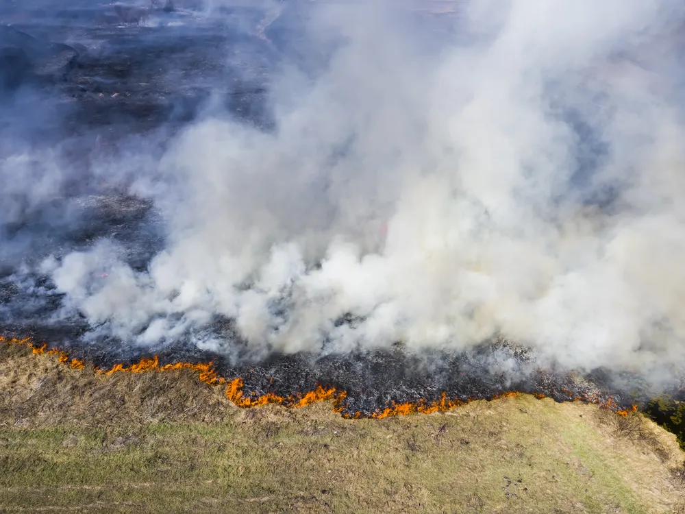 A wildfire with lots of smoke burns across a grassland in Russia