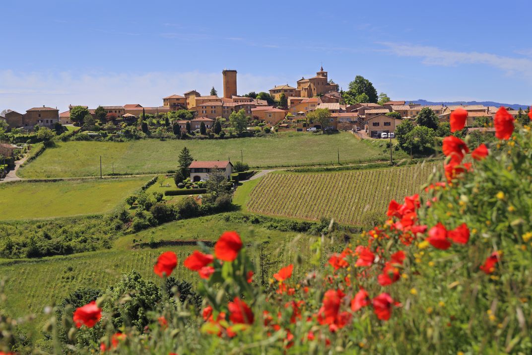 Poppies near the village of Oingt