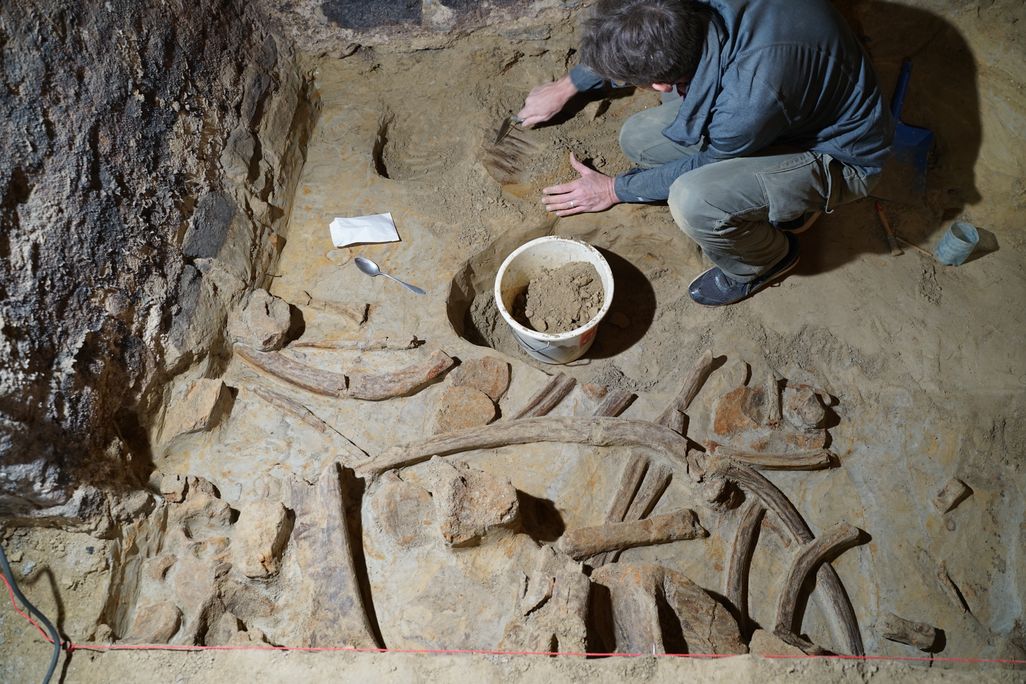 Lots of different bones on the ground with a man leaning over them