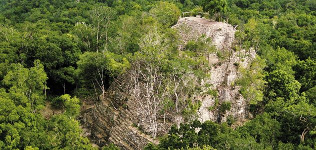 Protecting ancient corn and building up sustainably in the heart of the  Yucatan peninsula, Mexico